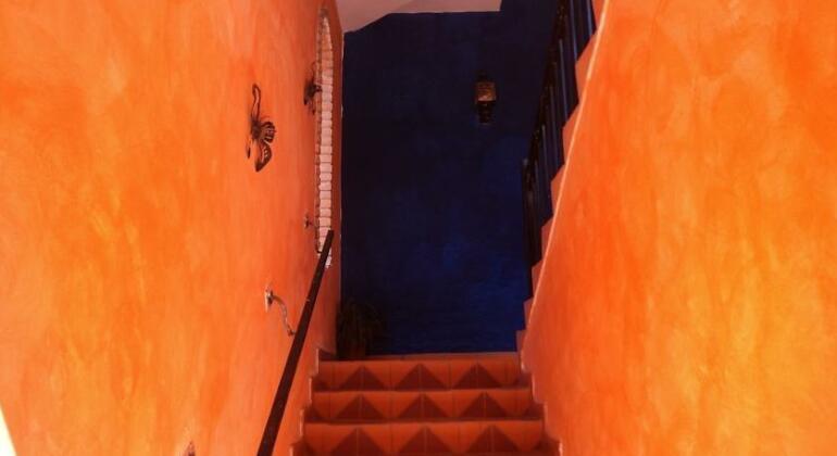 Rincon Magico - Photo5