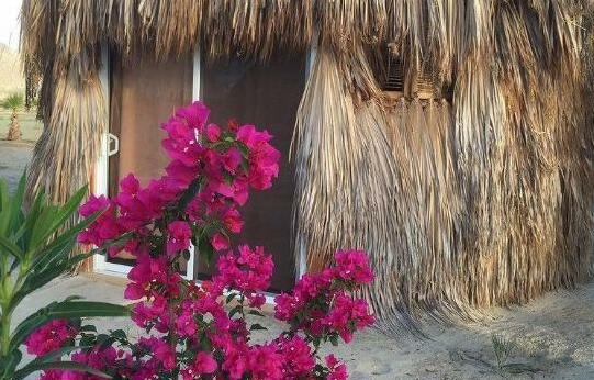 Mayan Village Beach Front Resort - Photo2