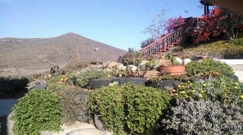 Casa Mediodia Bed and Breakfast - Photo3