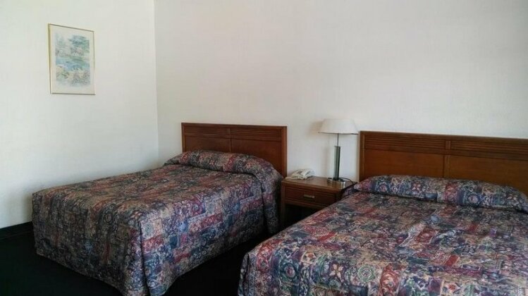 Hotel del Valle - Photo5