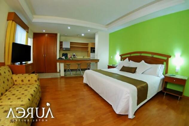 Aurea Hotel and Suites - Photo3