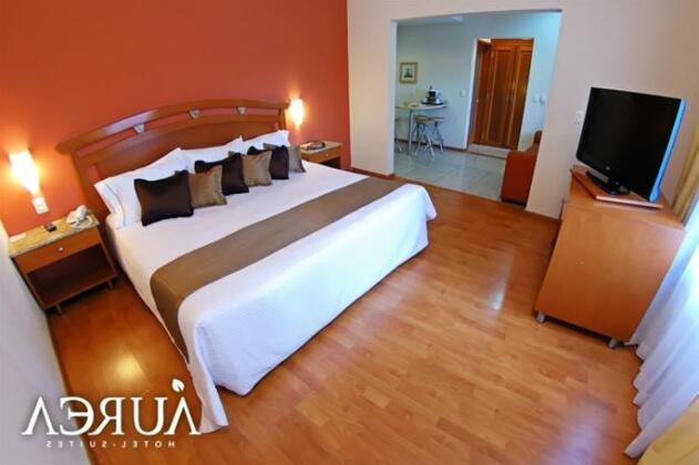 Aurea Hotel and Suites - Photo5