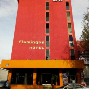 Hotel Flamingos Guadalajara