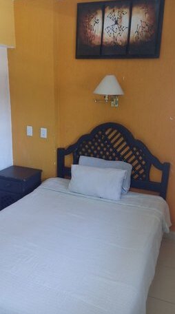 Hotel Nuevo Vallarta - Photo5