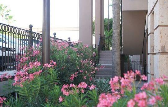 Royal Palace Hermosillo - Photo4