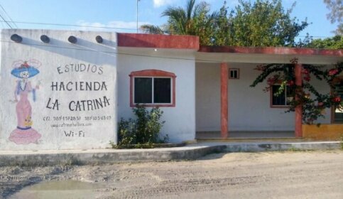 Estudios la Catrina 2