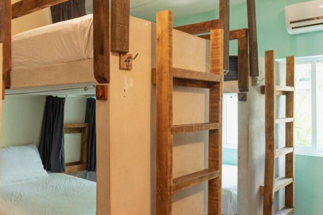 Mapache Hostel & Camping - Photo3