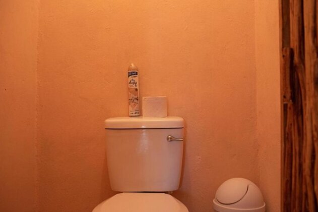 Mapache Hostel & Camping - Photo5
