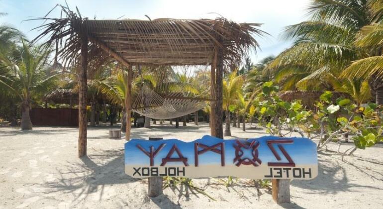 Zomay Holbox - Photo2