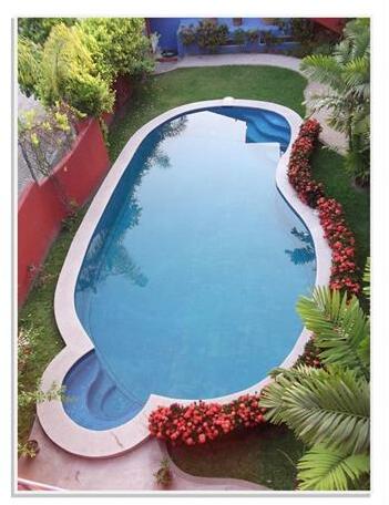 Casa Misifus - Photo5