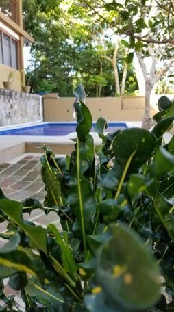 Casa Maria en La Manzanilla - Photo2
