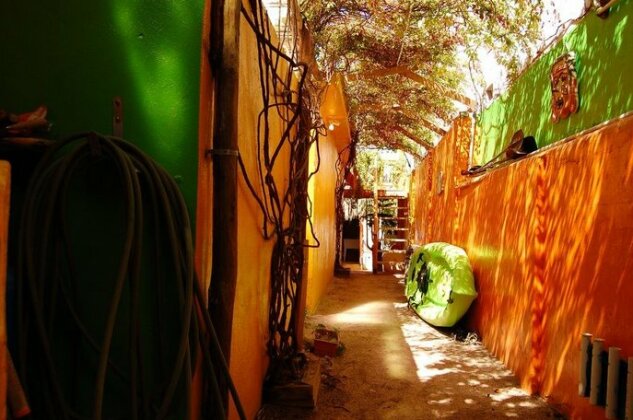 Leo's Baja Oasis - Photo2