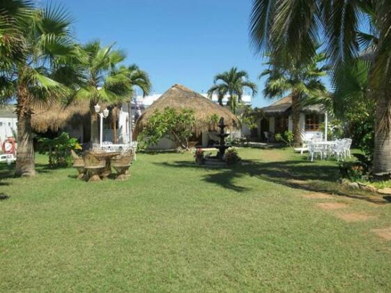 El Delfin Blanco - Photo2