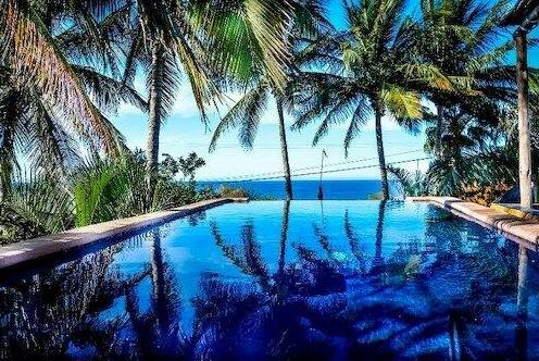 Palapas Resort - Photo3