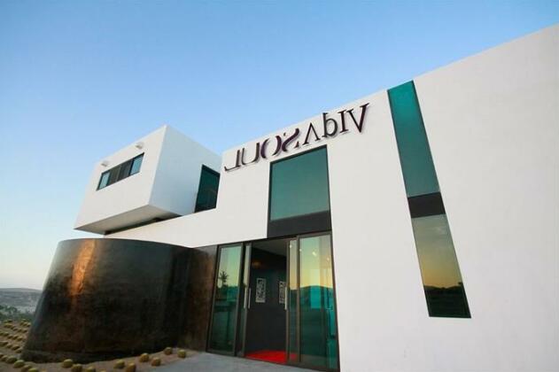 Vidasoul - Photo3