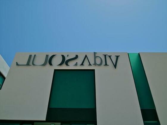 Vidasoul - Photo4