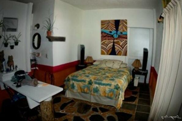 Casa Artista Manzanillo - Photo5
