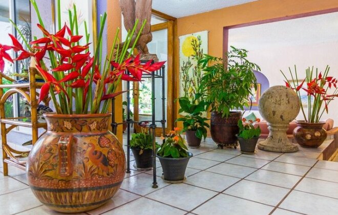 Villa del Bosque - Photo4