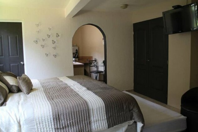 Private Suite in San Angel - Photo3