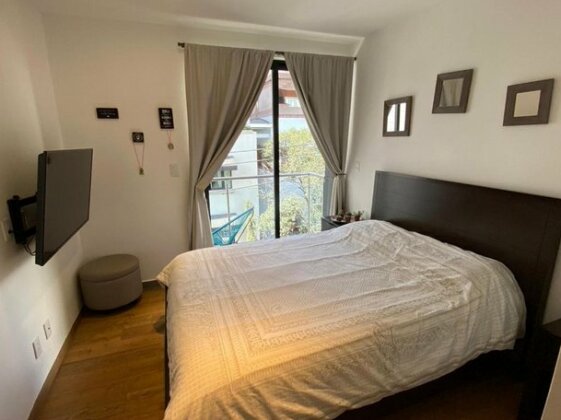 REFORMA - Angel - Very nice 2 BR with open kitchen close to restaurants - Rio Ebro 83 - Photo3