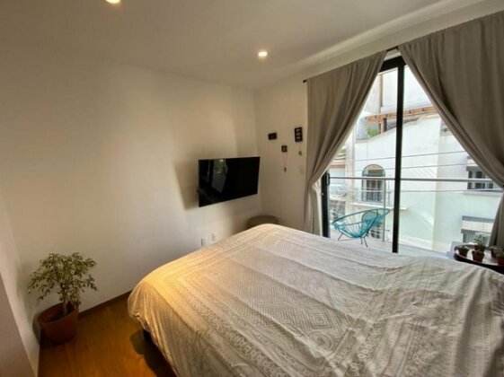 REFORMA - Angel - Very nice 2 BR with open kitchen close to restaurants - Rio Ebro 83 - Photo4