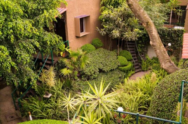 Suite 1-B El Rincon Garden House Welcome To San Angel