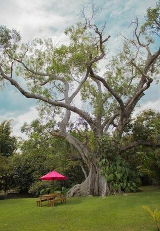 Hotel Quinta Moctezuma - Photo2