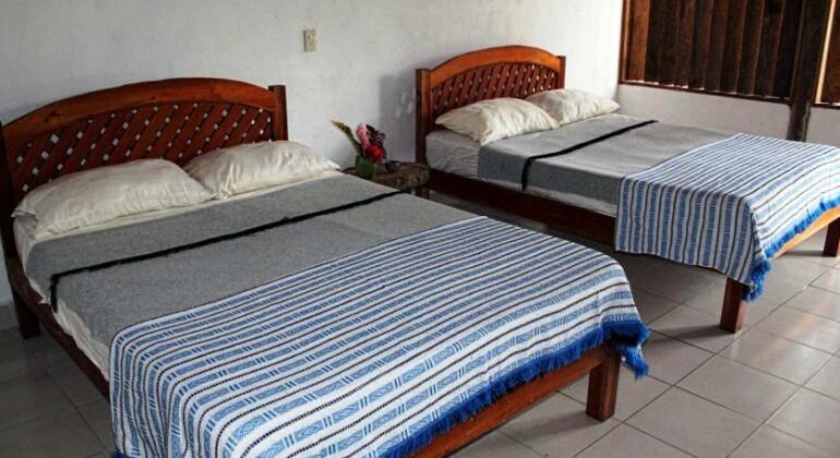 Ecolodge Kayon - Selva Lacandona - Photo3