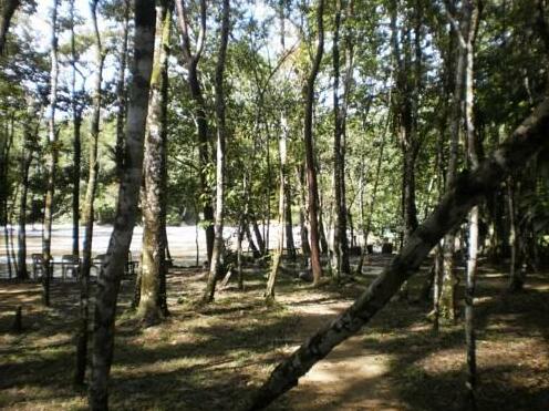 Ecolodge Lacandones - Photo4