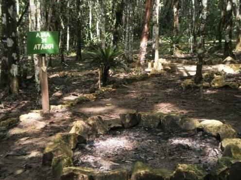 Ecolodge Lacandones - Photo5