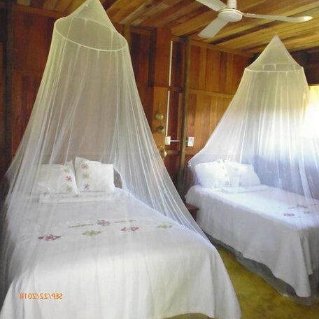 Hotel Nueva Alianza - Photo4