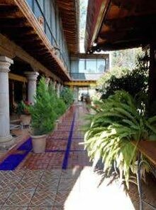 Hotel Villa Gardenias - Photo5