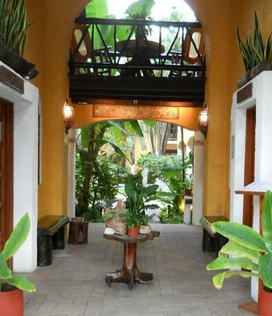 Hotel Bosque Caribe 5th Av Zone - Photo4