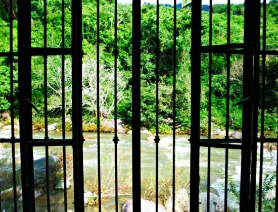 Casa Rio Cuale - Photo4