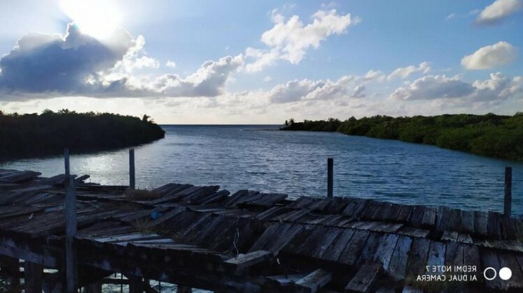 Las Palapas de Punta Allen - Photo5