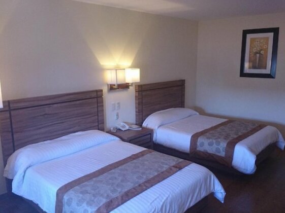 Hotel Oliver Inn - Business Class - Photo3