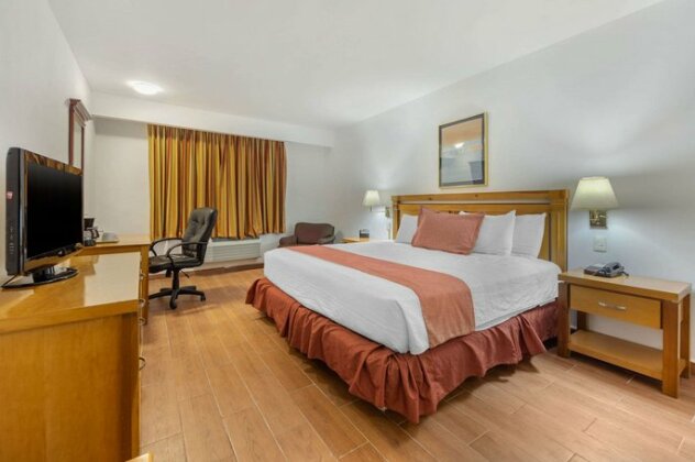 Quality Inn & Suites Saltillo Eurotel - Photo2