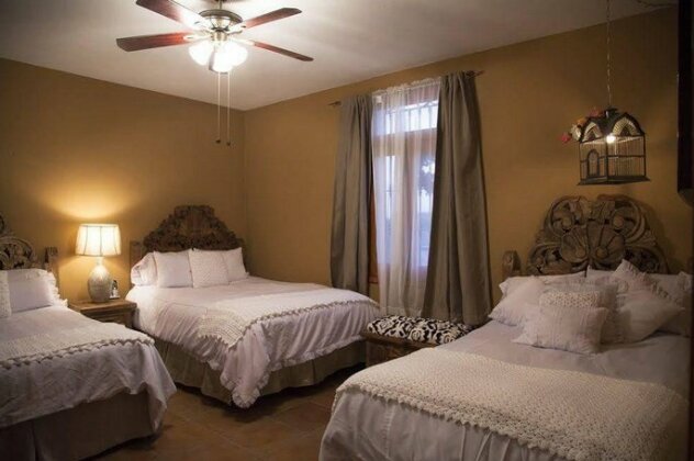 Tadeo Inn Bed & Breakfast - Photo3