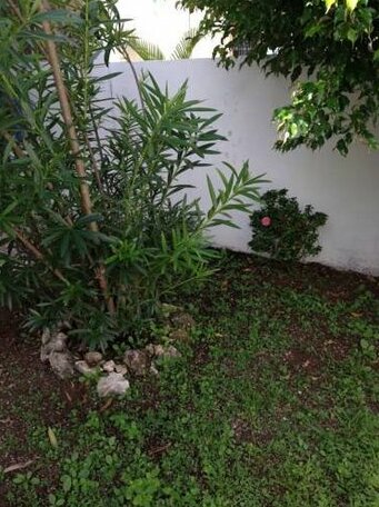Casa Tina Tulum - Photo5