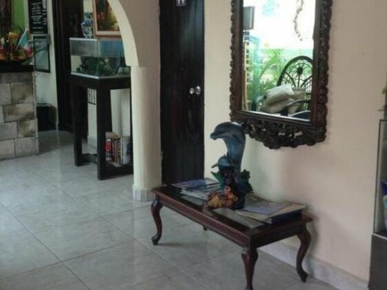 Hotel Addy - Photo3