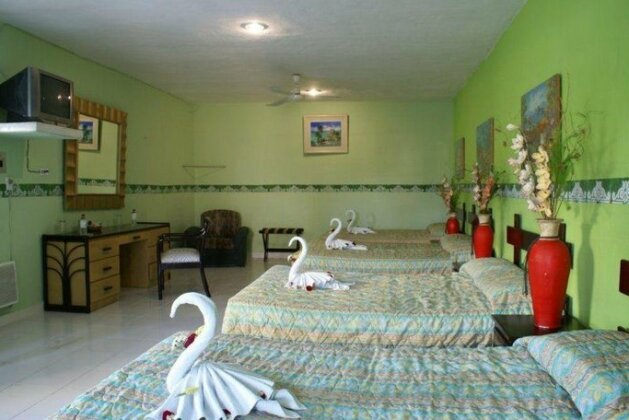Hotel Addy - Photo4