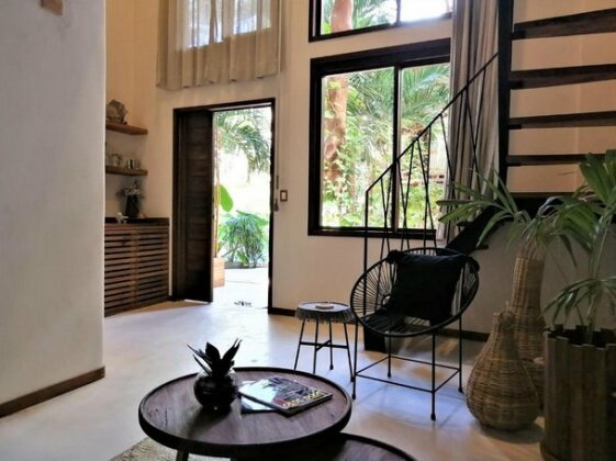 Hotel Boutique TerraNova - Photo5