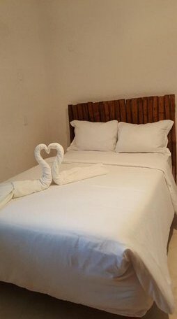 Jungle House Tulum Hotel & Hostal - Photo4