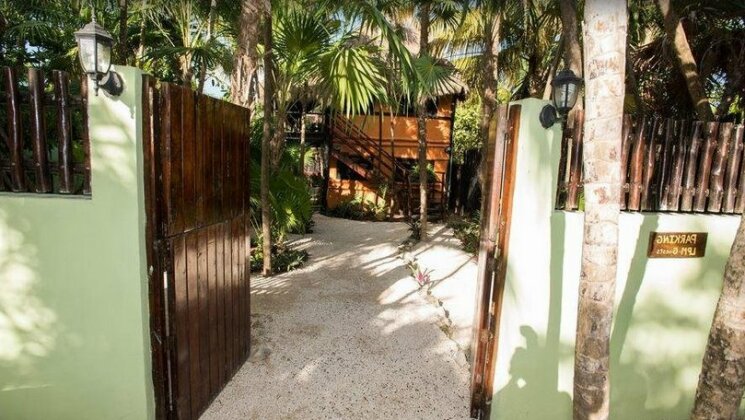Las Palmas Maya - Photo2