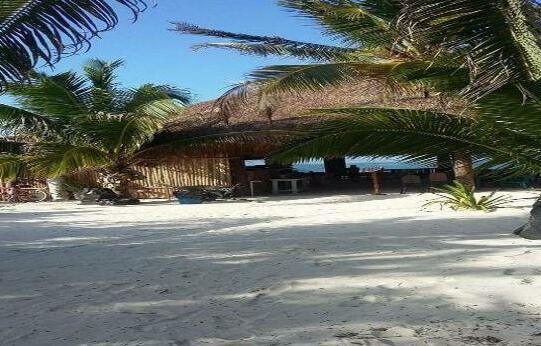 Playa Las Palmas Glamping Tulum - Photo3