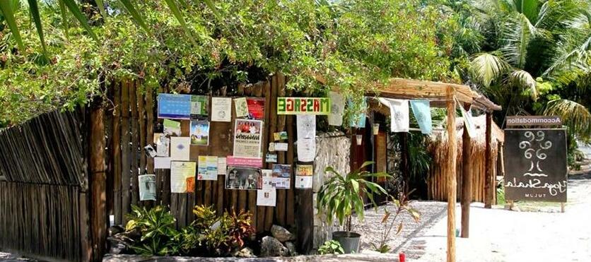 Yoga Shala Tulum - Photo3