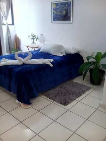 Casa Luna Valladolid - Photo5