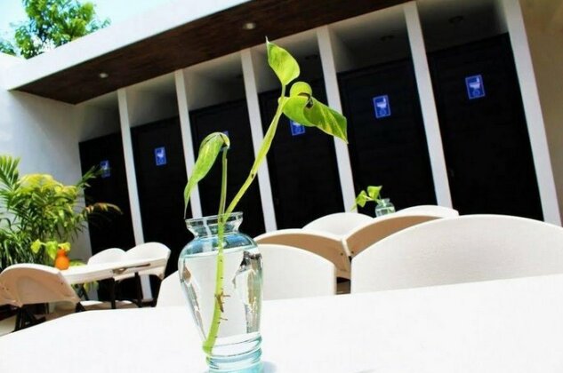 Gayser Apartments - Photo5