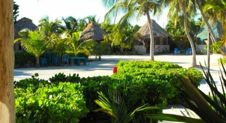 Costa De Cocos - Photo2