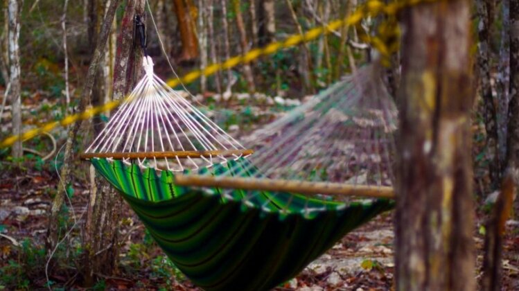 Lemurian Embassy Eco Village Retreat - Photo2